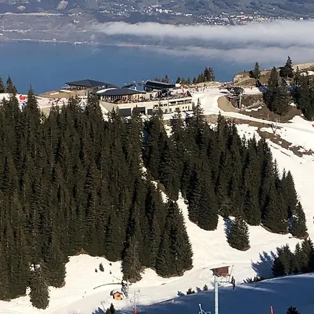 Typique De Montagne *