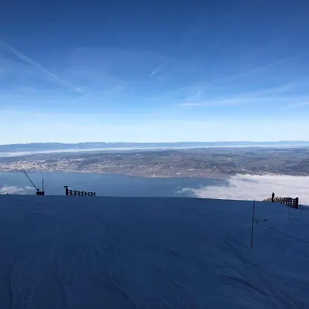 Typique De Montagne